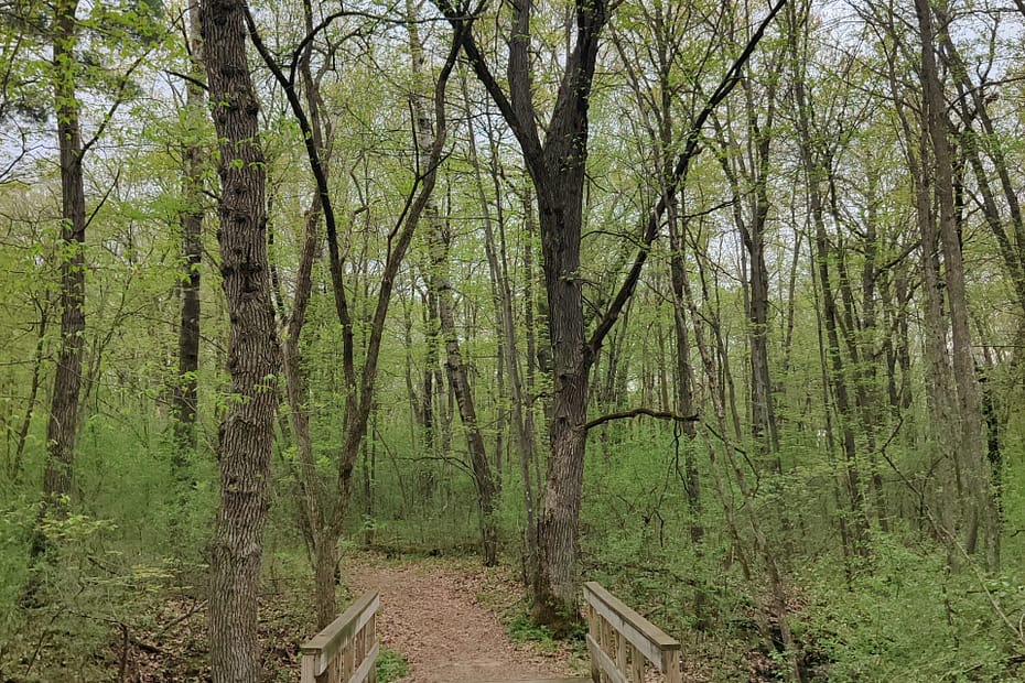 Hiking trail at Charles A Lindbergh State Park in Little Falls, MN.
